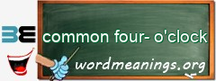 WordMeaning blackboard for common four-o'clock